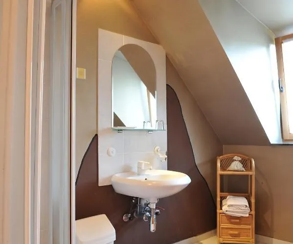 Gostilna In Prenocisca Brancurnik Ξενοδοχείο