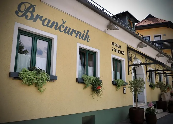 Gostilna In Prenocisca Brancurnik 3*