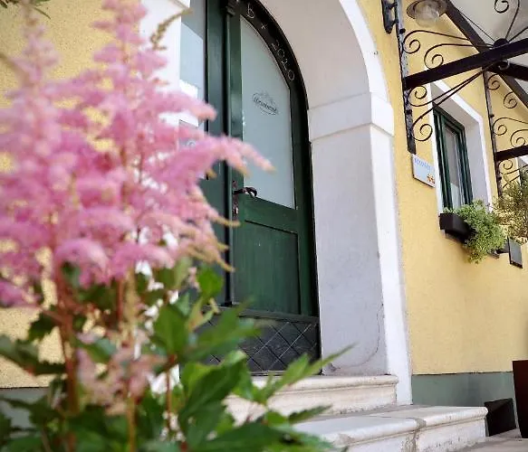 Ξενοδοχείο Gostilna In Prenocisca Brancurnik